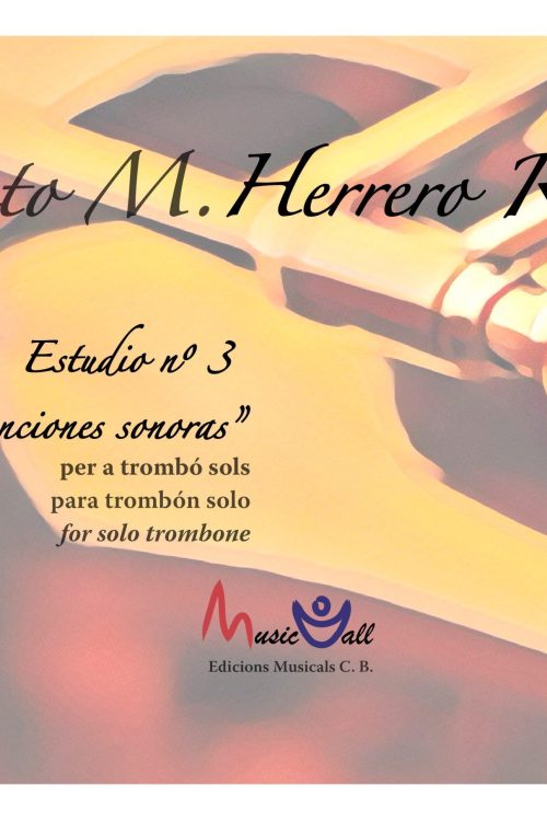 Estudio nº 3 “Junciones Sonoras”