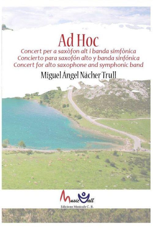 Ad-Hoc